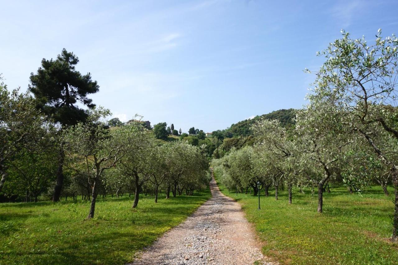 卢卡Agriturismo Le Vallilunghe公寓 外观 照片