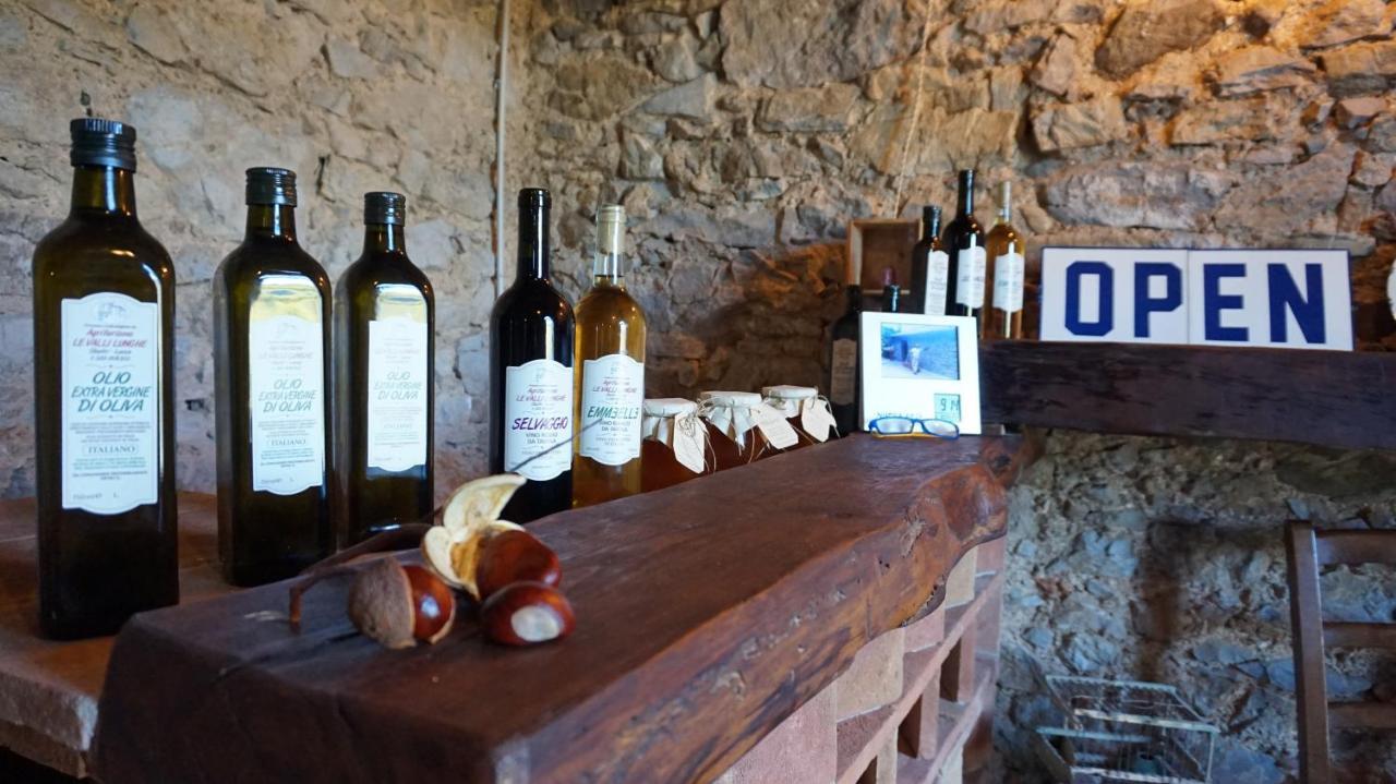 卢卡Agriturismo Le Vallilunghe公寓 外观 照片