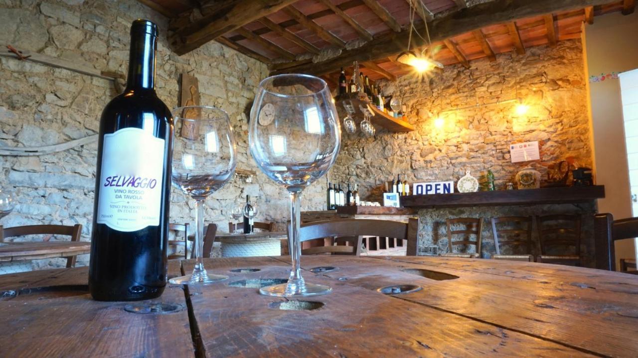 卢卡Agriturismo Le Vallilunghe公寓 外观 照片