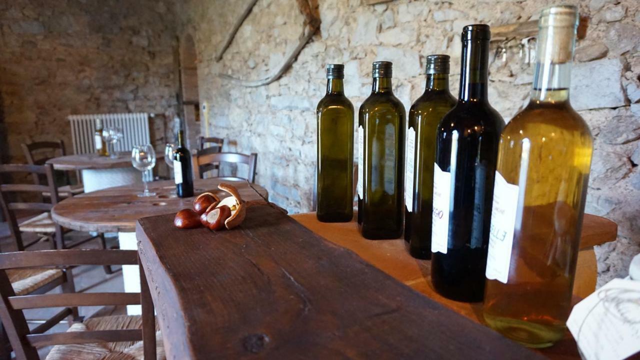 卢卡Agriturismo Le Vallilunghe公寓 外观 照片