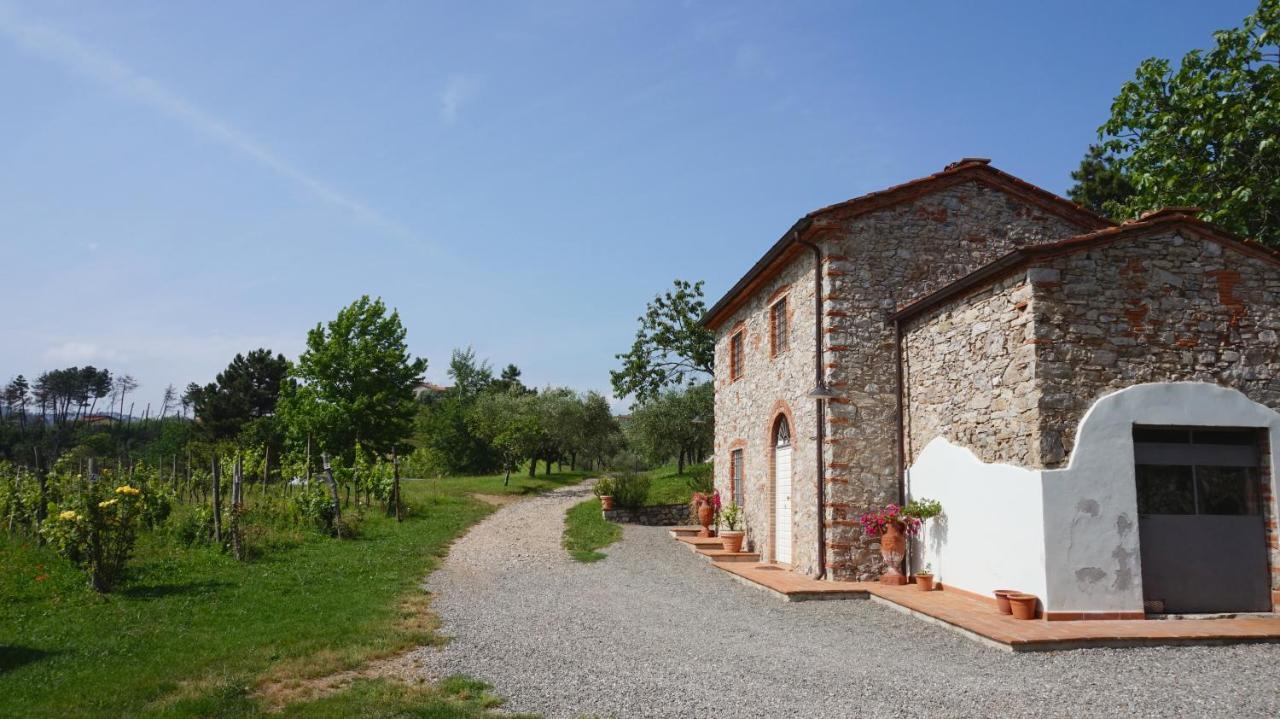 卢卡Agriturismo Le Vallilunghe公寓 外观 照片